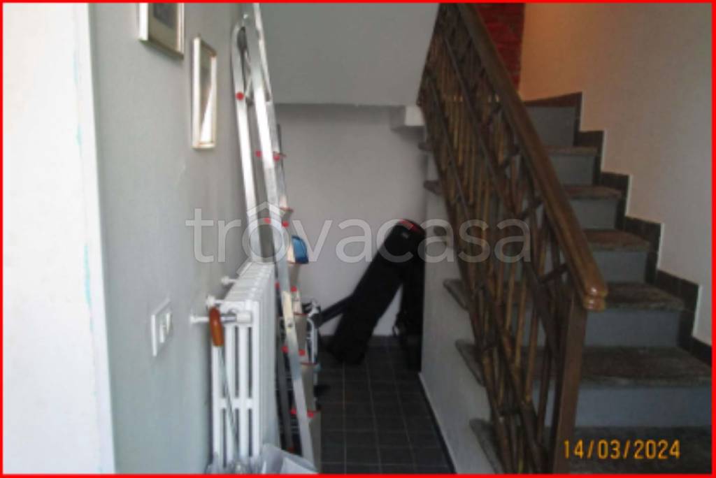 immagine annuncio 12 di 14