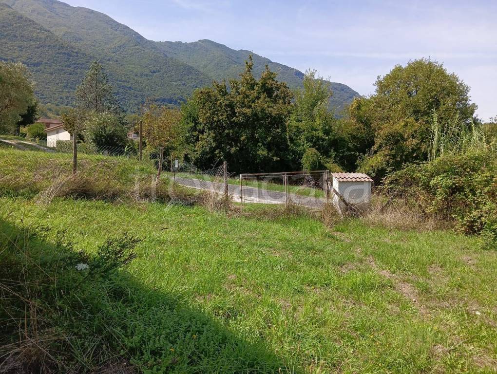 immagine annuncio 4 di 8