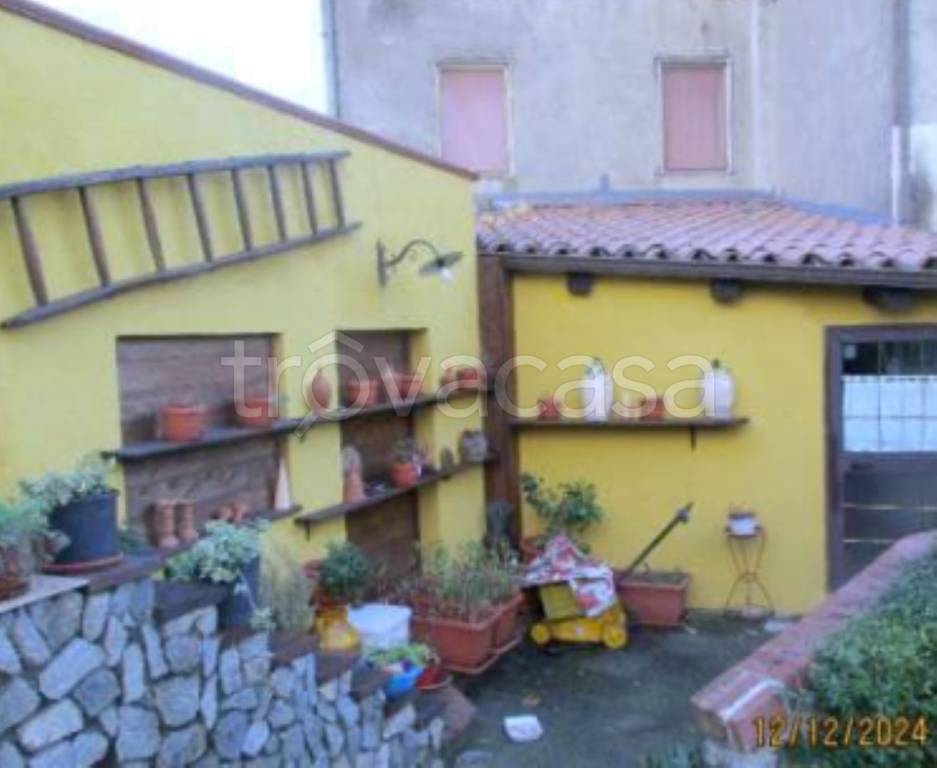 immagine annuncio 8 di 14