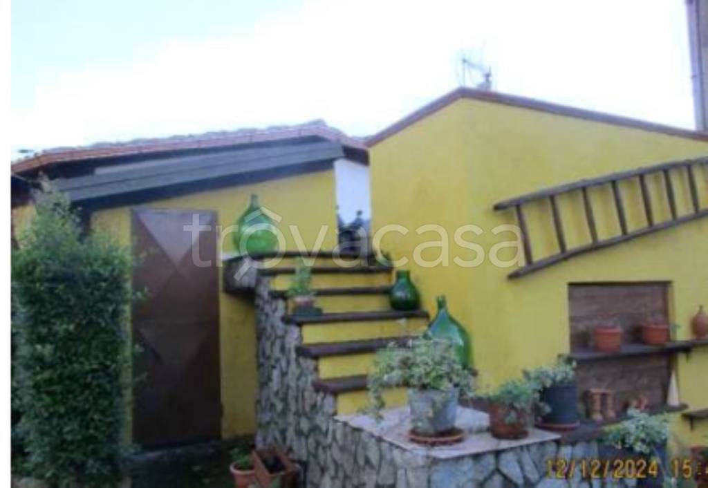 immagine annuncio 9 di 14