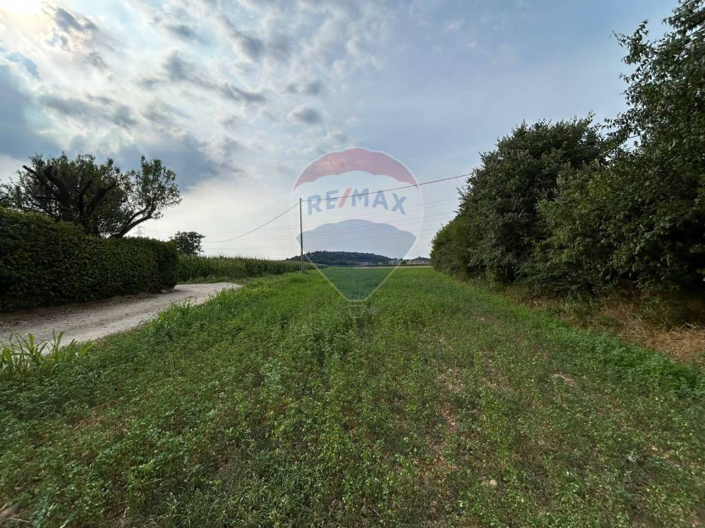immagine annuncio 7 di 11