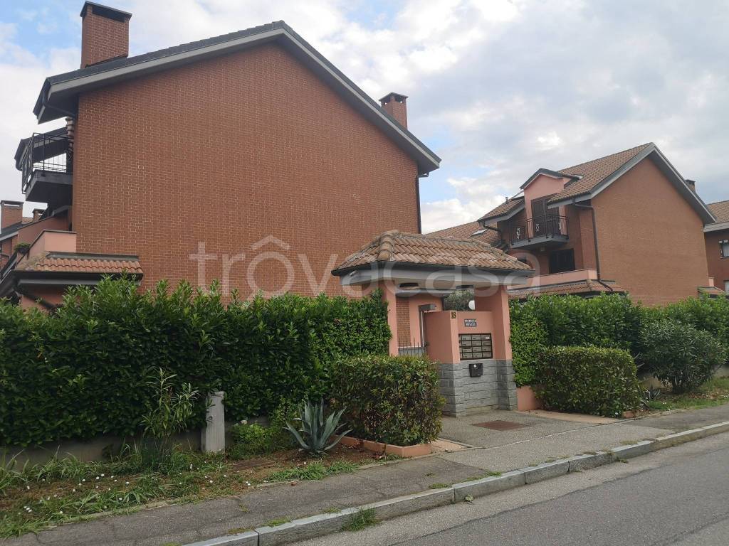 immagine annuncio 2 di 15