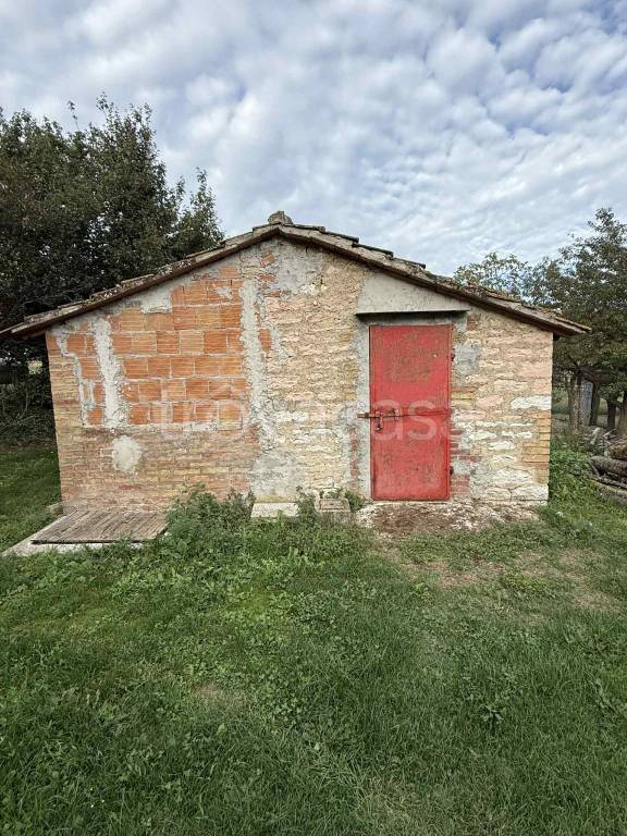 immagine annuncio 7 di 15