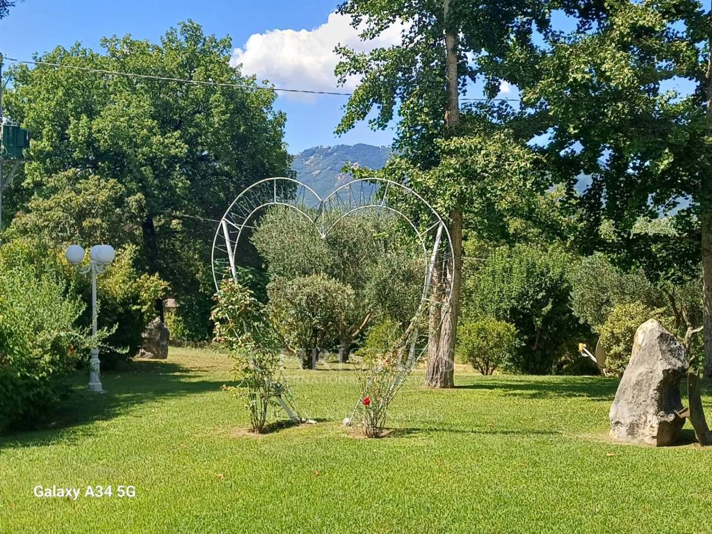 immagine annuncio 8 di 13