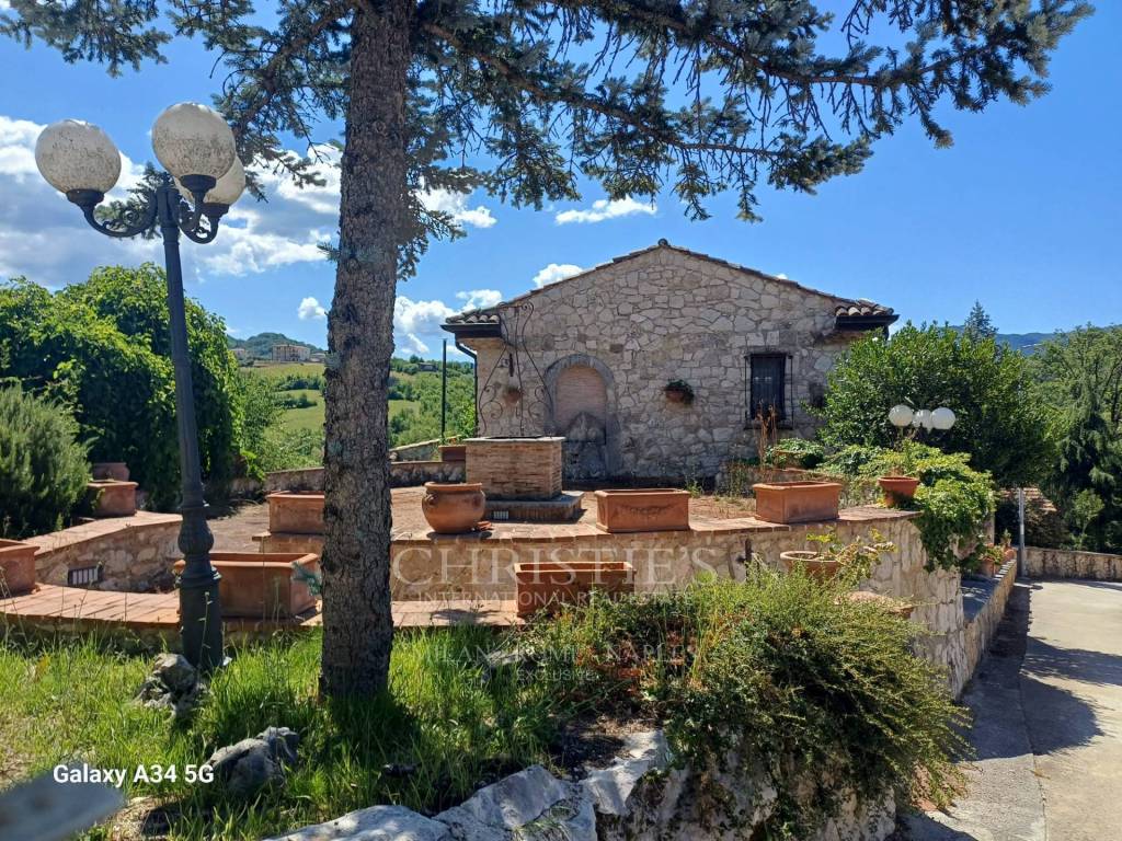 immagine annuncio 1 di 13