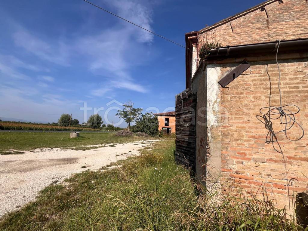 immagine annuncio 11 di 14
