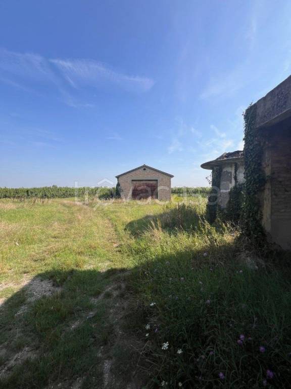 immagine annuncio 7 di 14