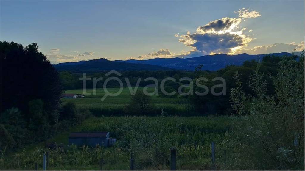 immagine annuncio 4 di 7