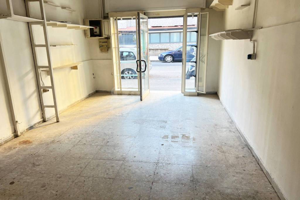 immagine annuncio 7 di 14