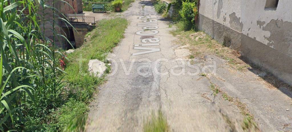 immagine annuncio 12 di 14