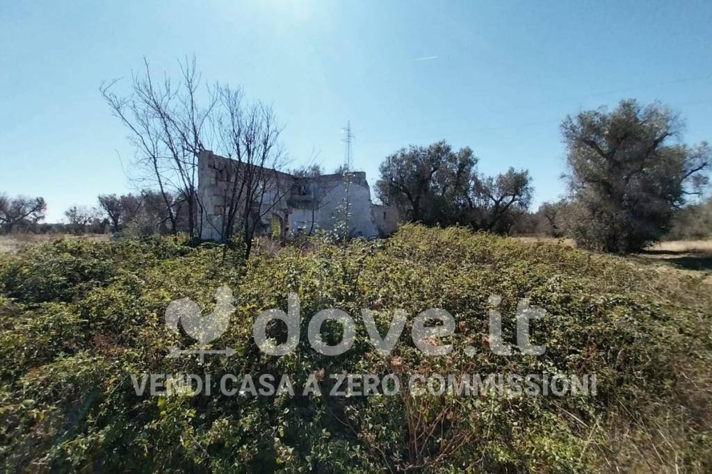immagine annuncio 8 di 11