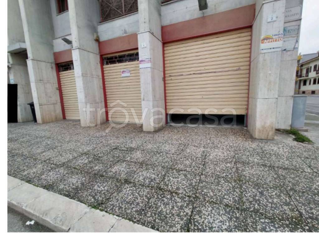 immagine annuncio 3 di 11