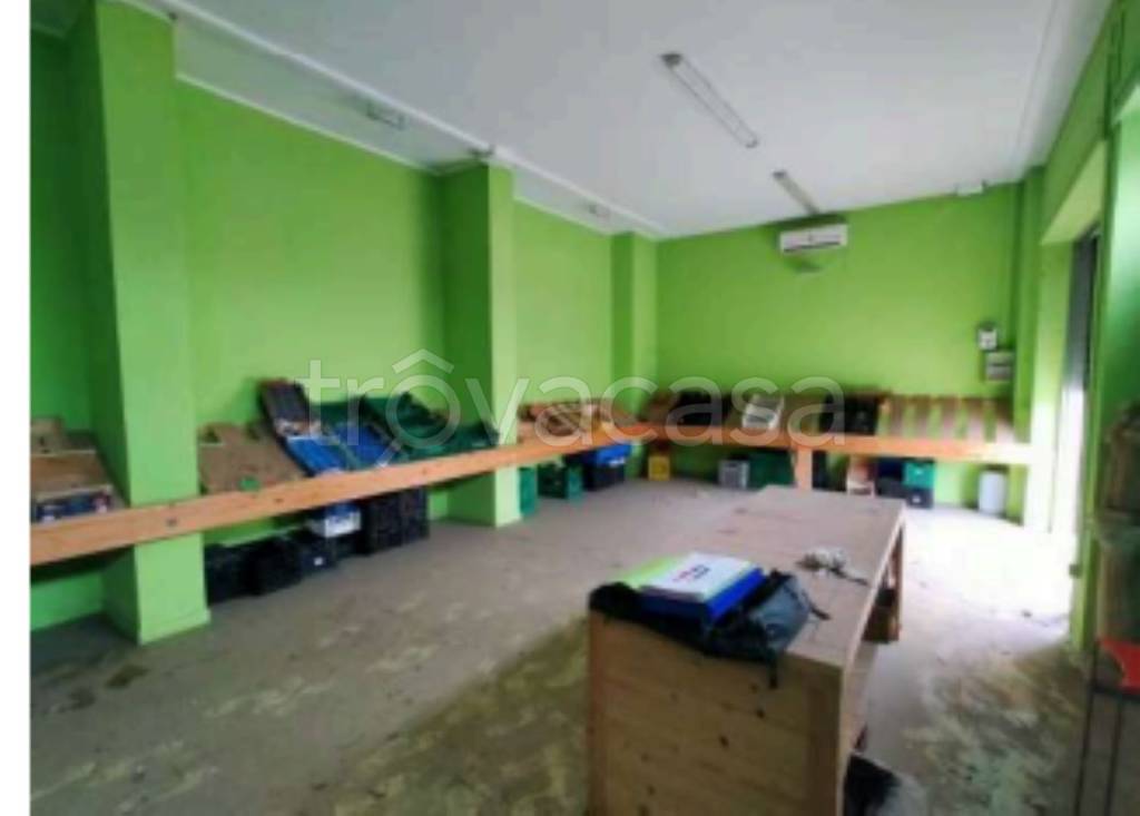 immagine annuncio 7 di 11