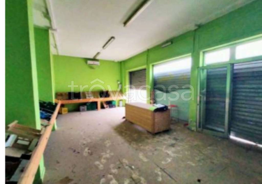 immagine annuncio 9 di 11