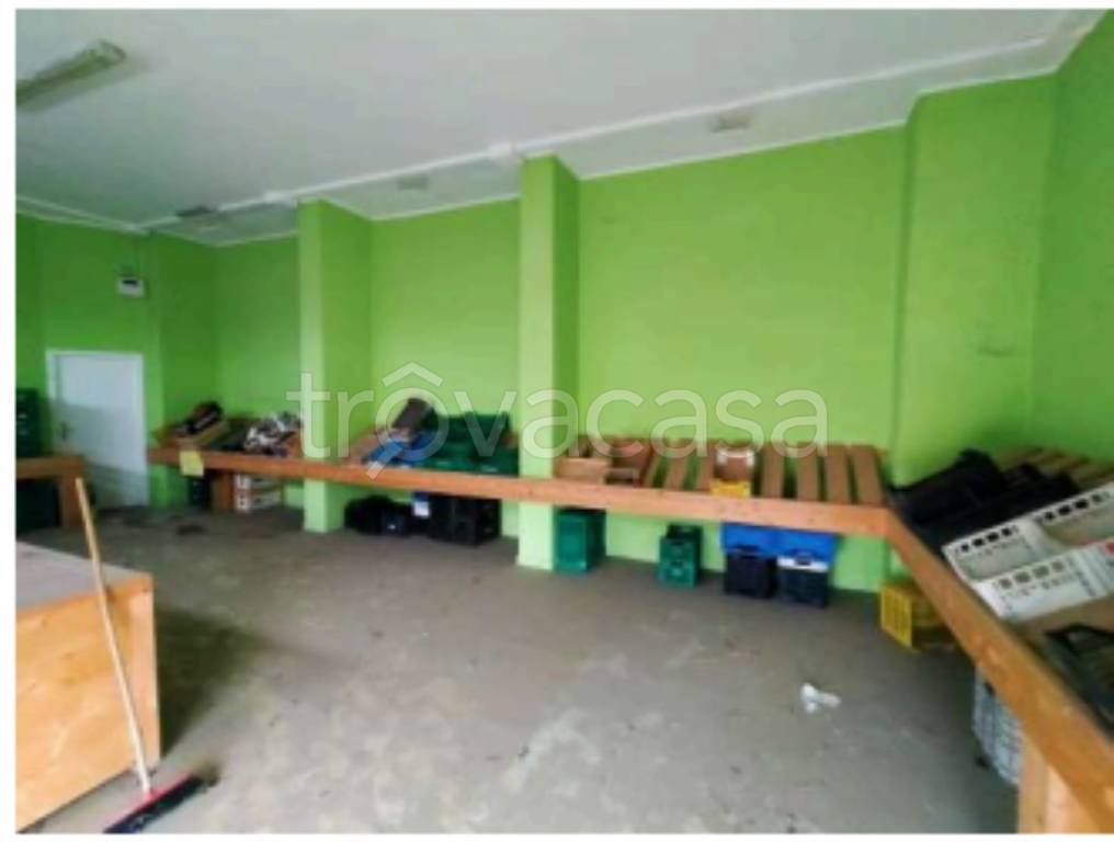 immagine annuncio 10 di 11