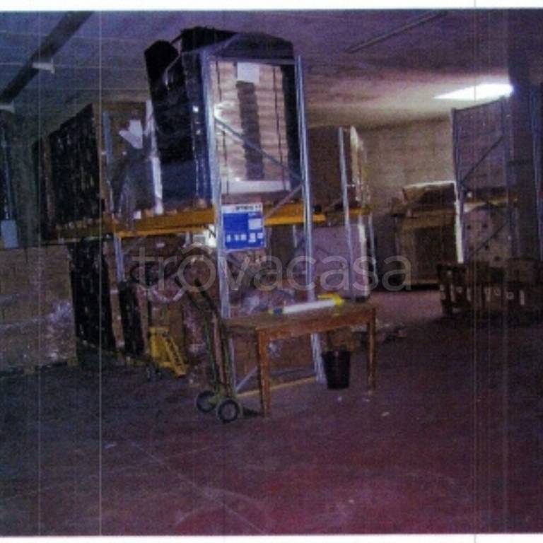 immagine annuncio 6 di 13