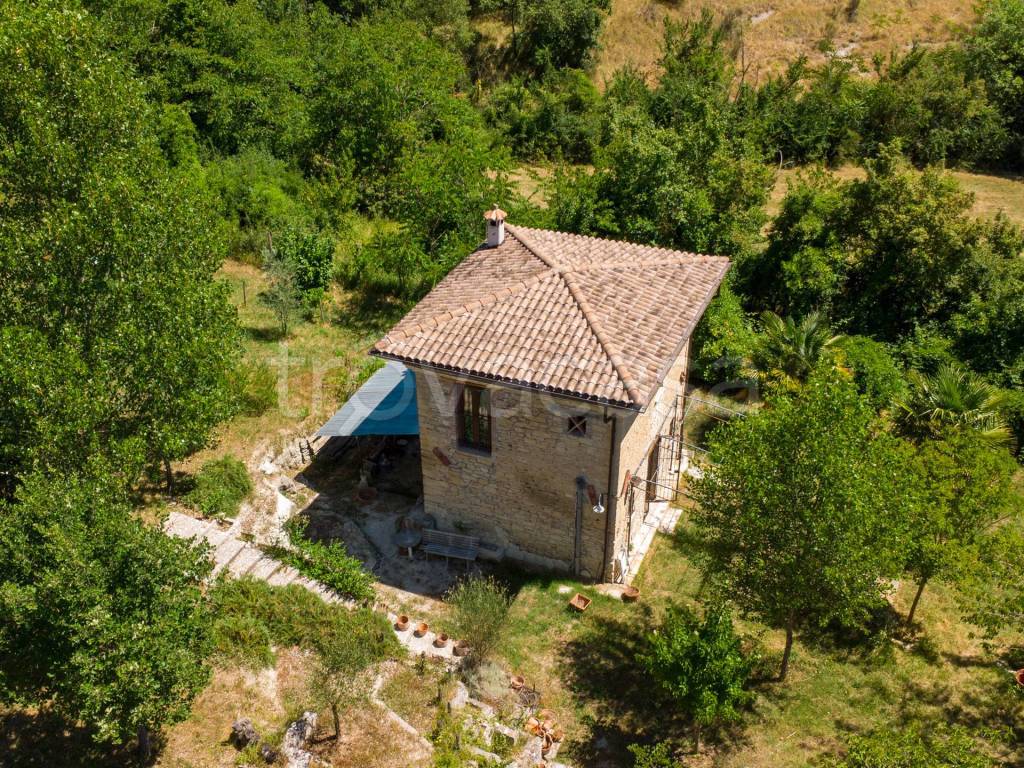 immagine annuncio 2 di 12