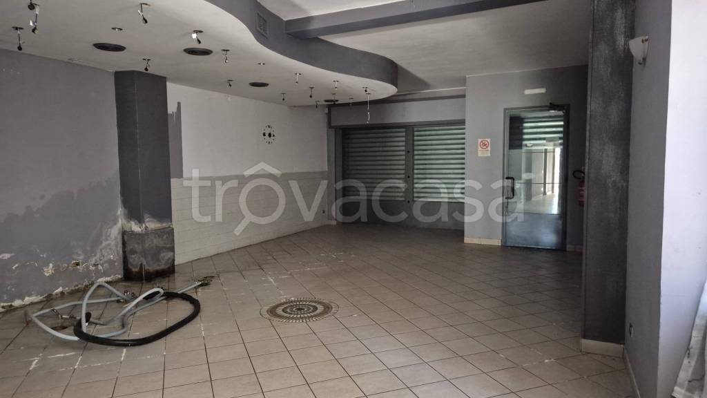 immagine annuncio 2 di 8