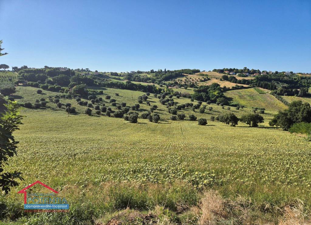 immagine annuncio 1 di 8