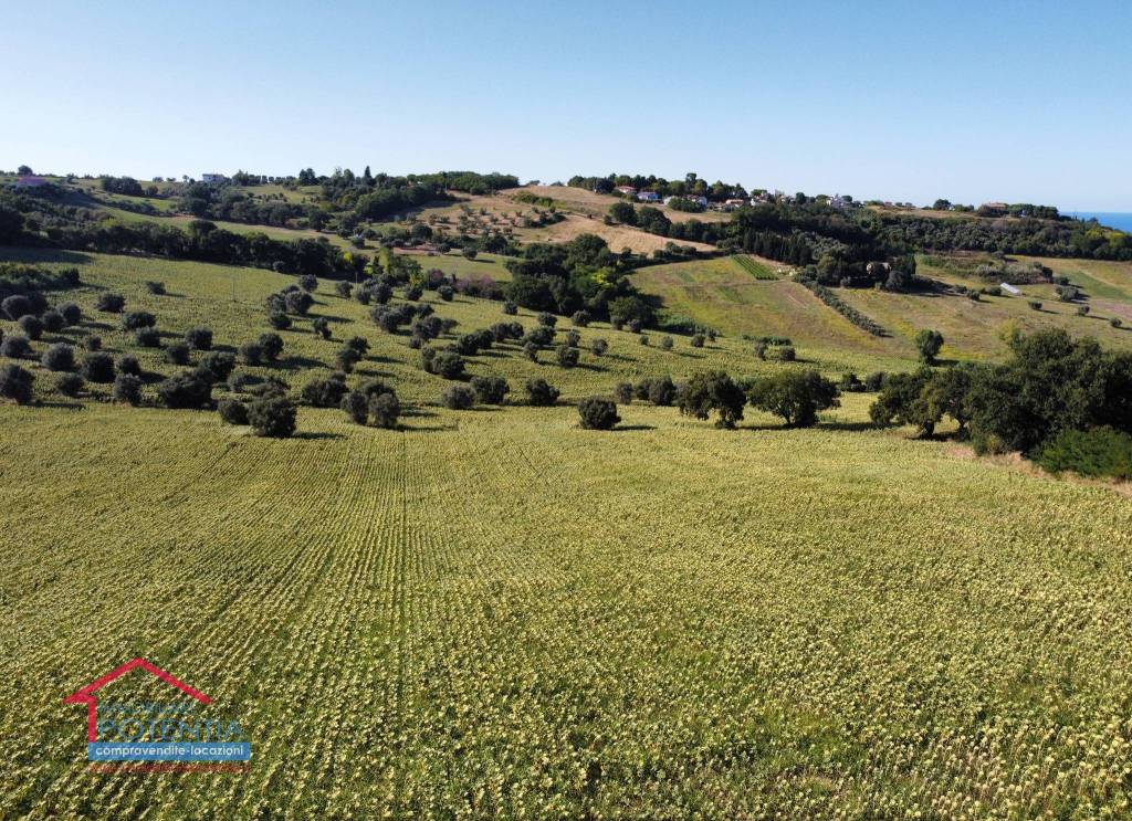 immagine annuncio 3 di 8