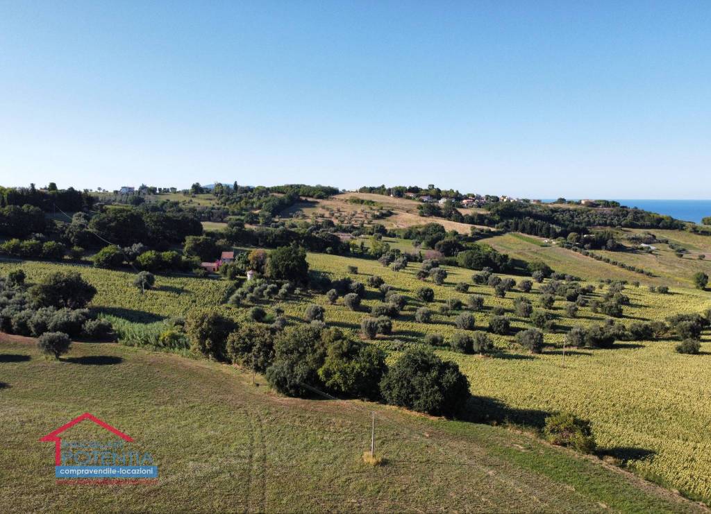 immagine annuncio 5 di 8