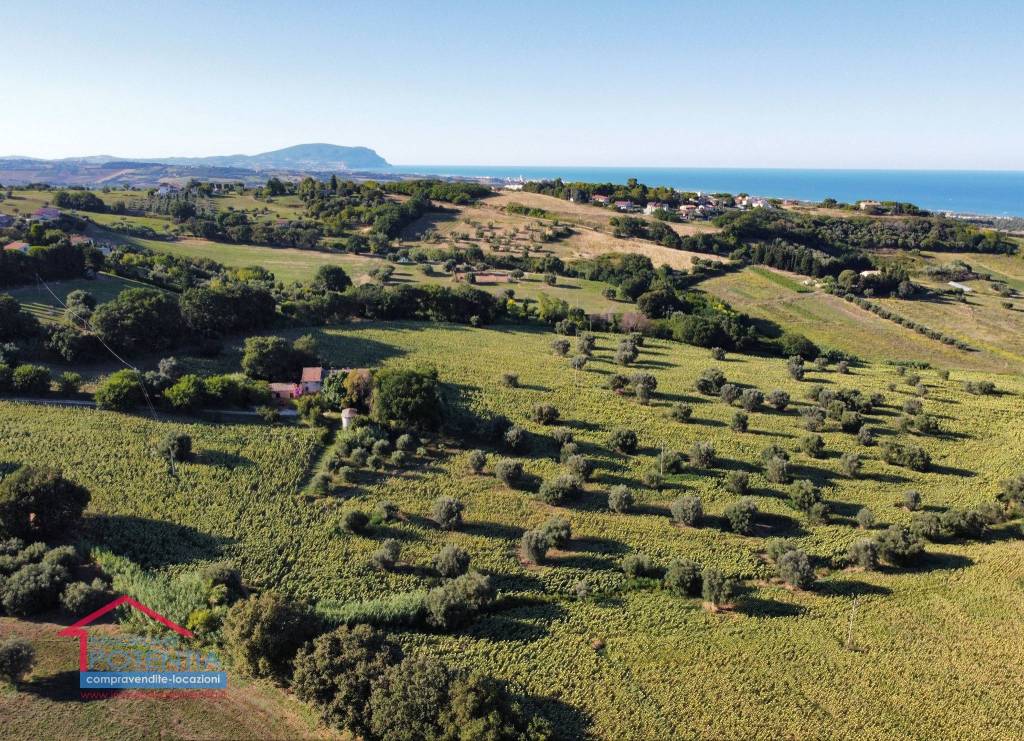 immagine annuncio 6 di 8