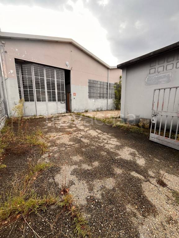 immagine annuncio 1 di 13