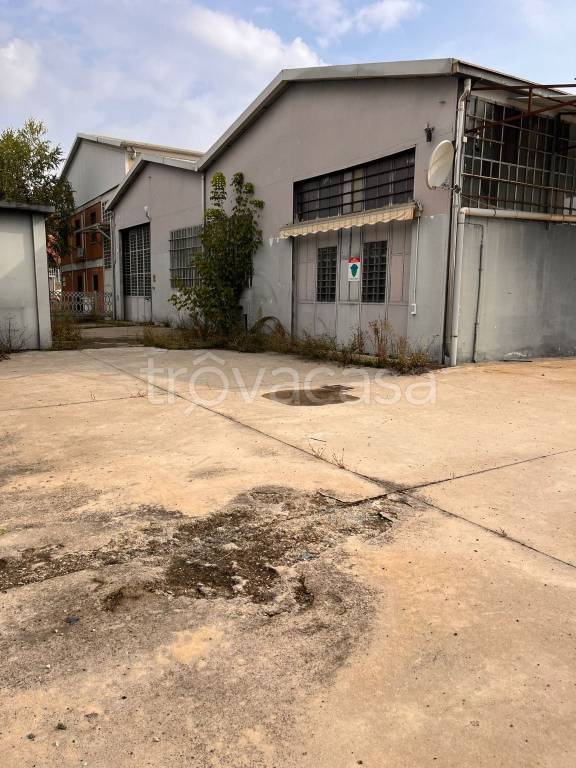 immagine annuncio 4 di 13