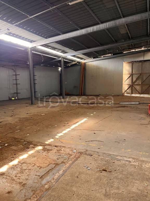 immagine annuncio 9 di 13