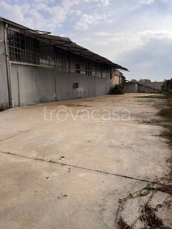 immagine annuncio 11 di 13