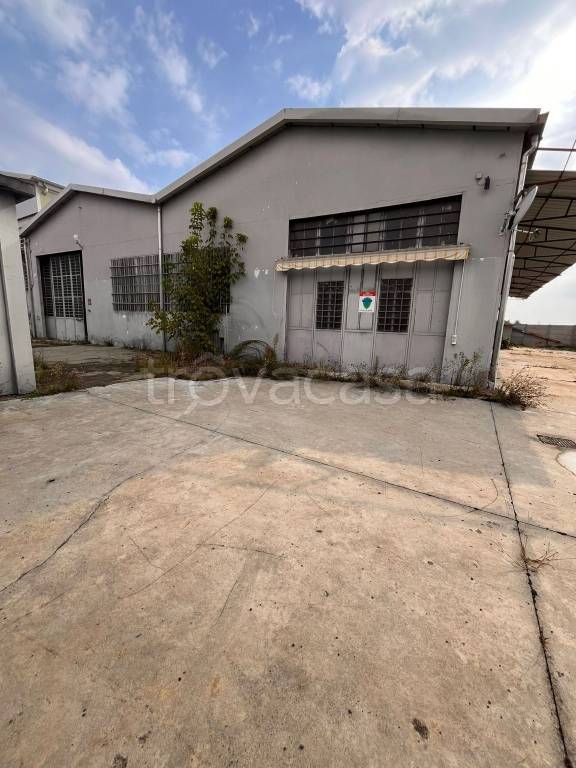 immagine annuncio 12 di 13