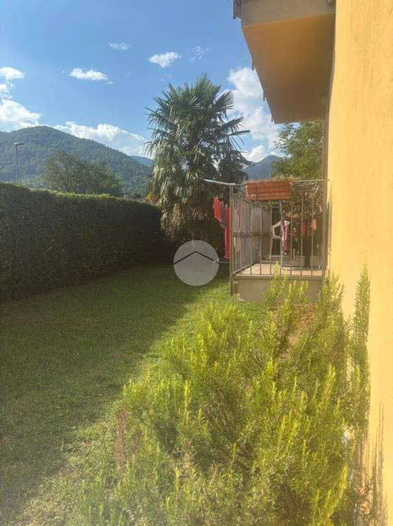 immagine annuncio 2 di 12