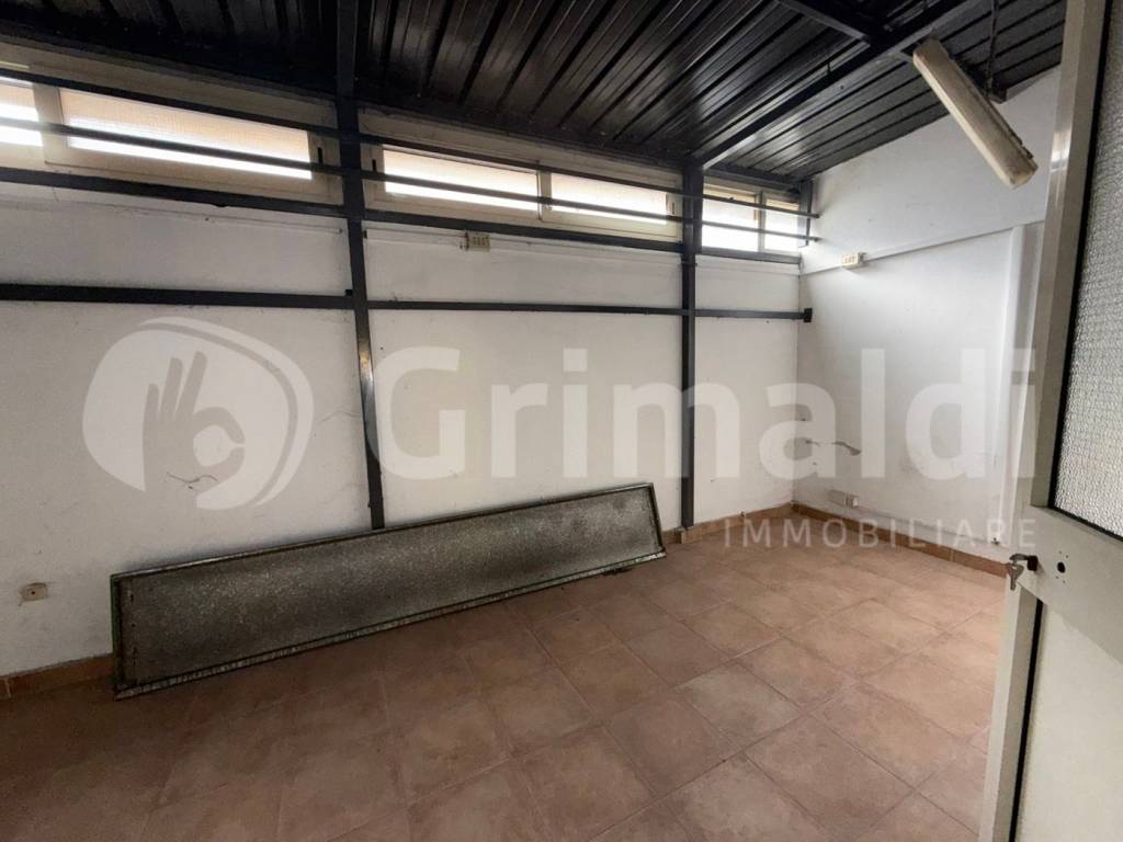 immagine annuncio 9 di 14