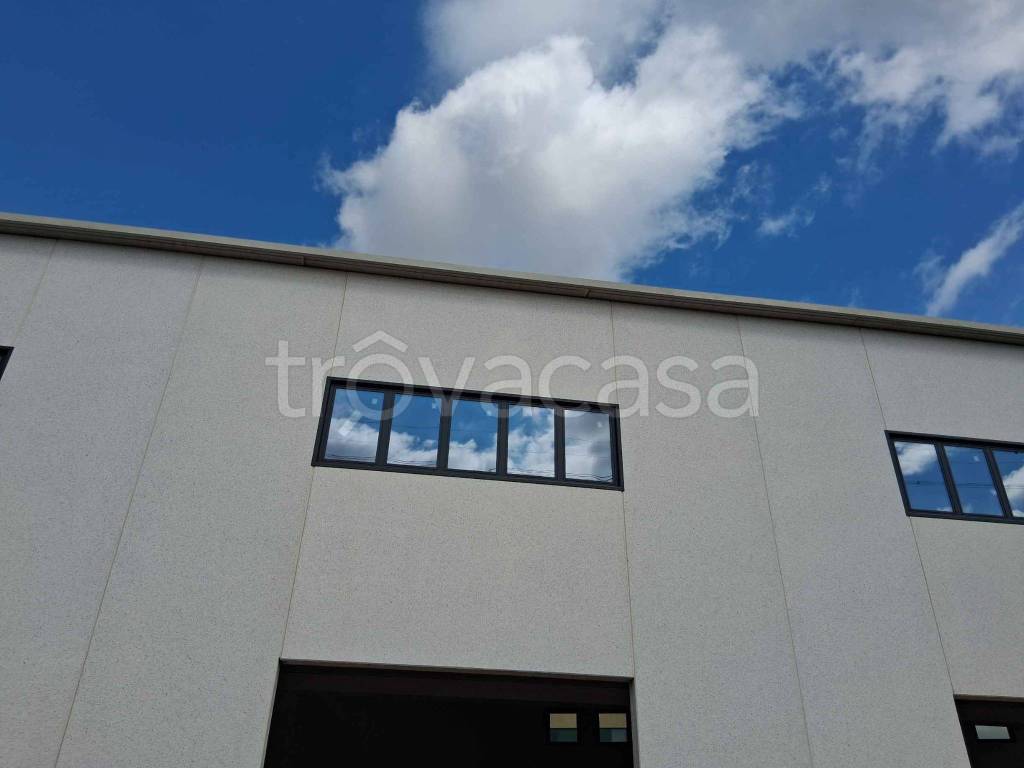 immagine annuncio 2 di 7