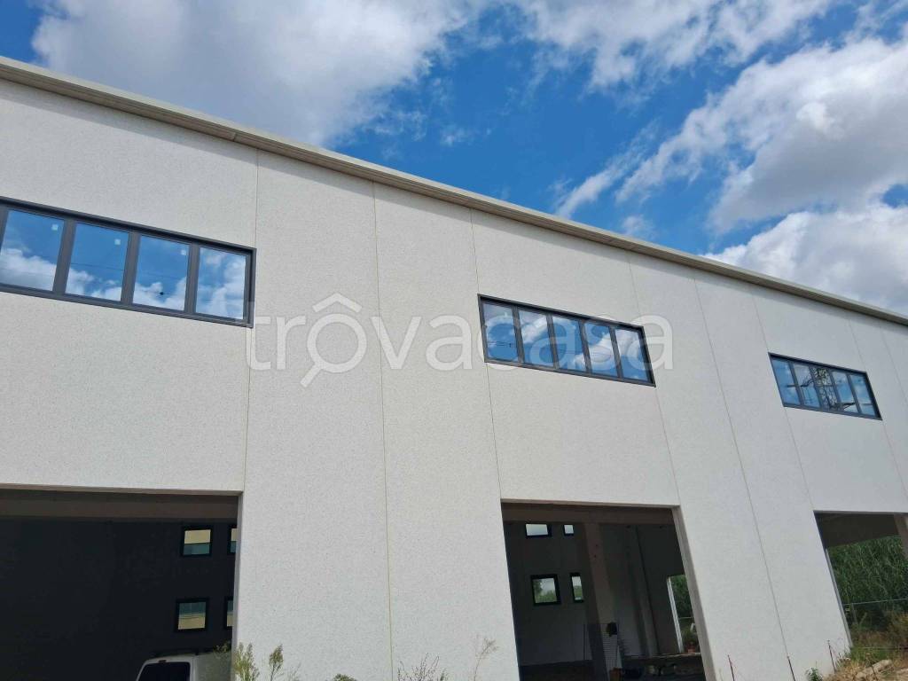 immagine annuncio 4 di 7