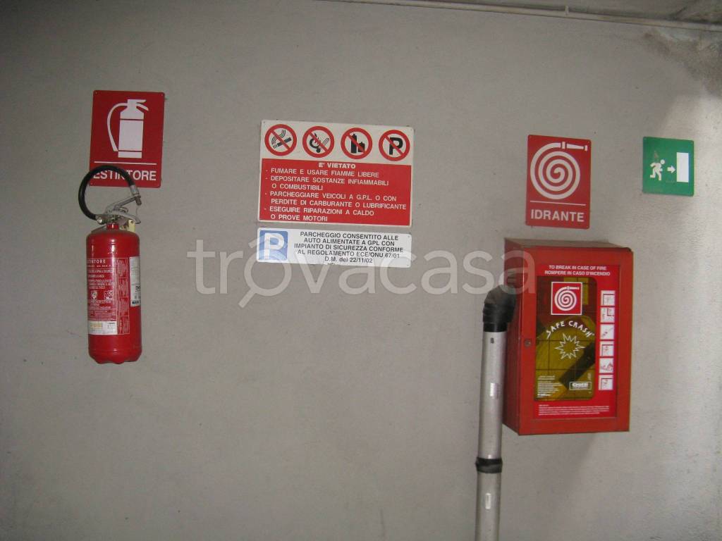 immagine annuncio 3 di 6
