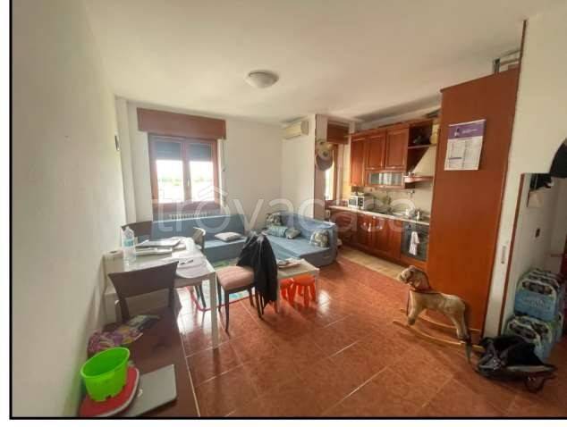 immagine annuncio 3 di 8