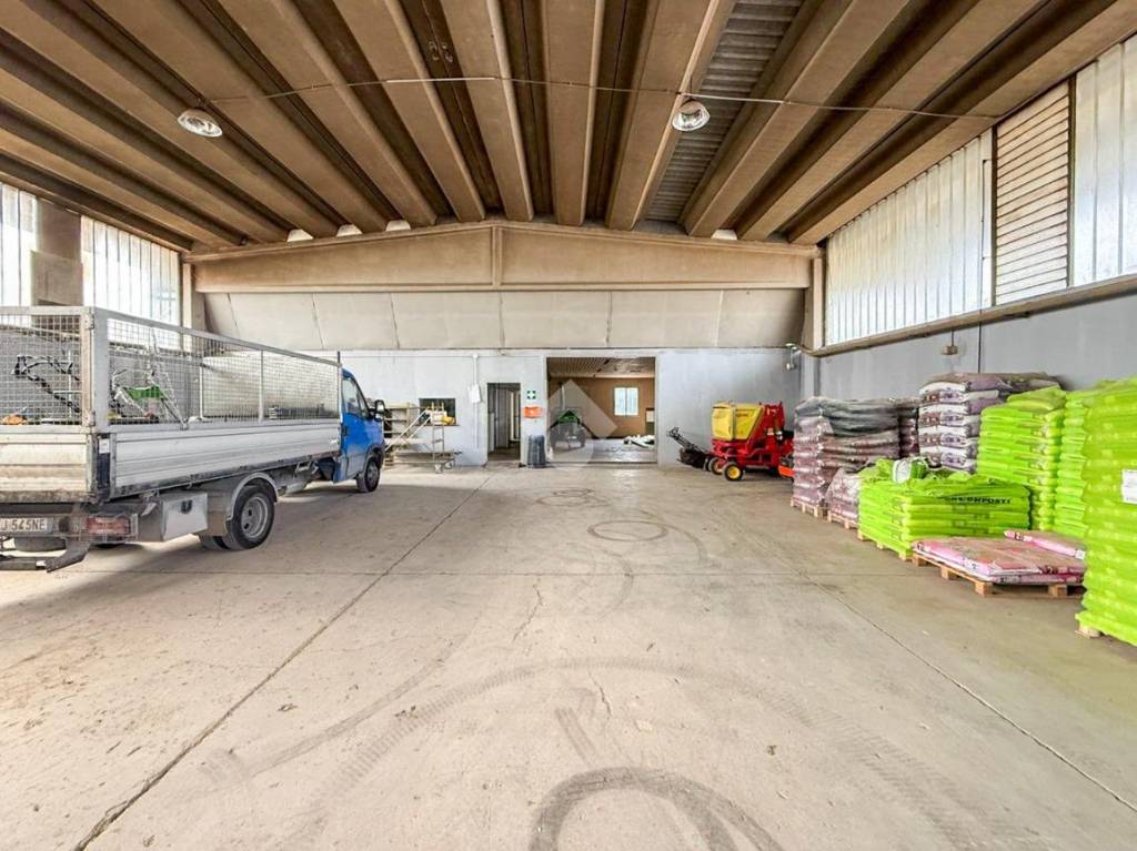 immagine annuncio 8 di 15