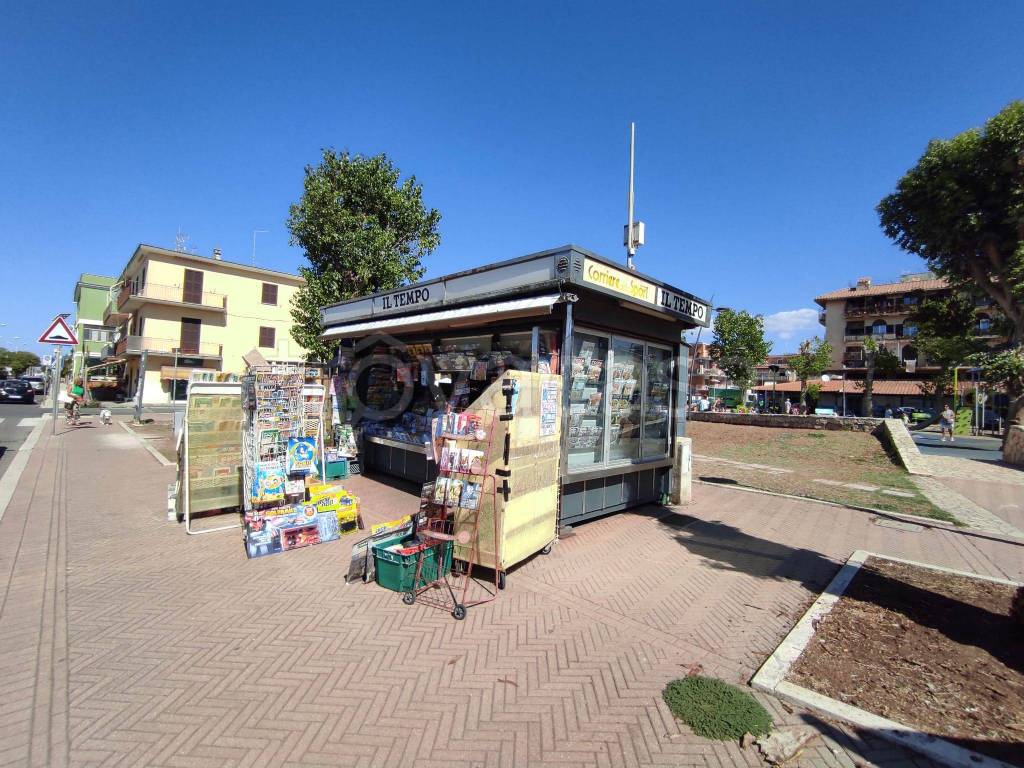 immagine annuncio 9 di 11