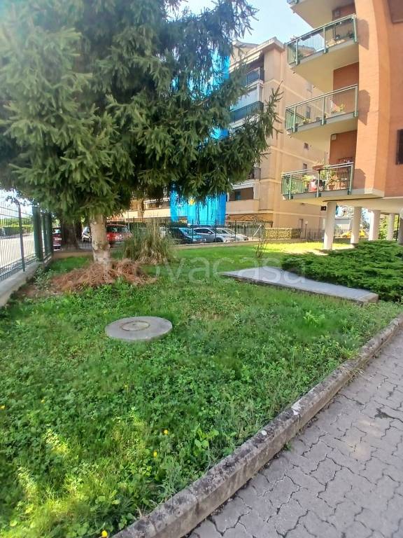 immagine annuncio 2 di 15