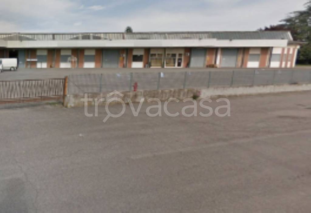 immagine annuncio 2 di 11