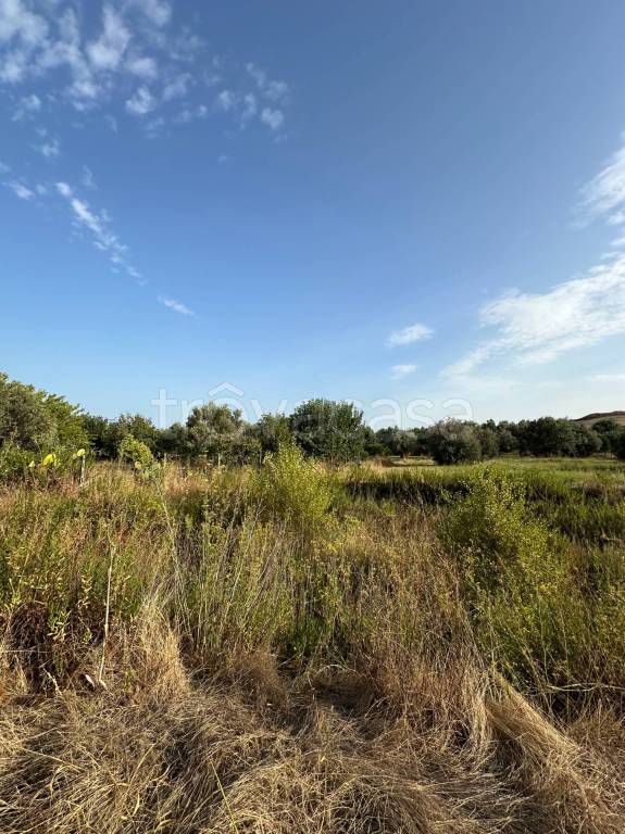 immagine annuncio 8 di 11