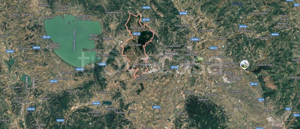 immagine annuncio 5 di 12