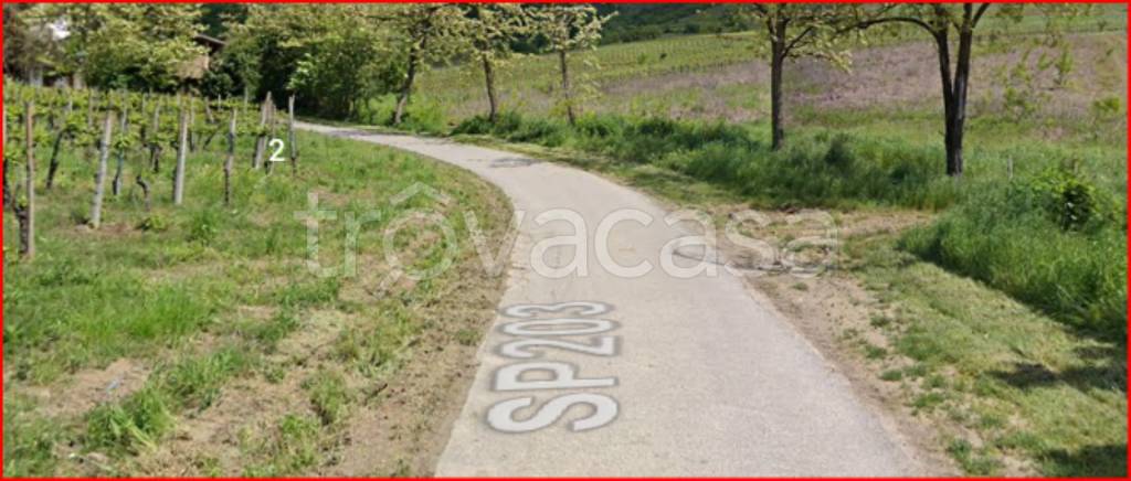 immagine annuncio 5 di 12