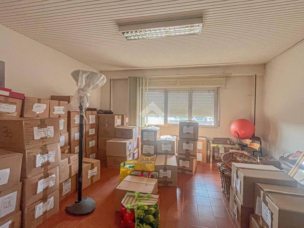 immagine annuncio 3 di 12