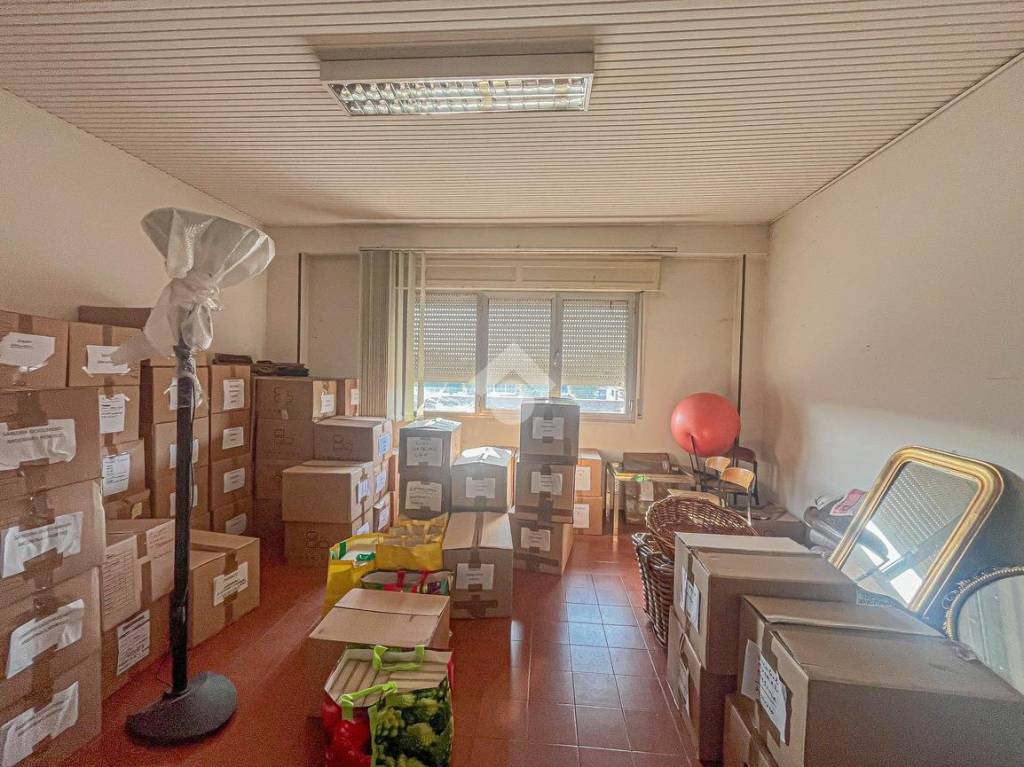 immagine annuncio 6 di 12