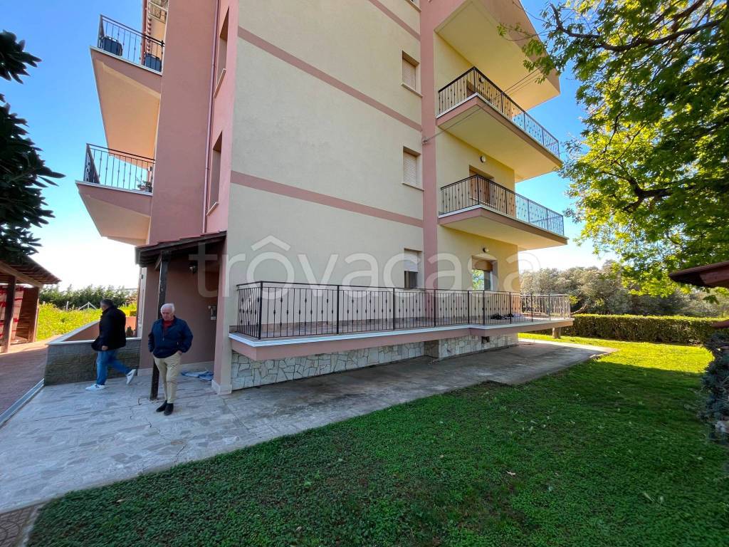 immagine annuncio 11 di 14