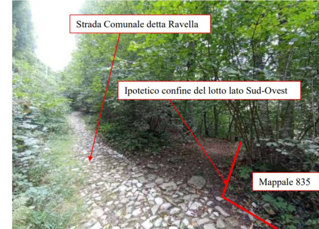 immagine annuncio 5 di 12