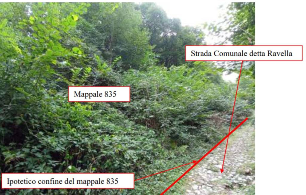 immagine annuncio 6 di 12