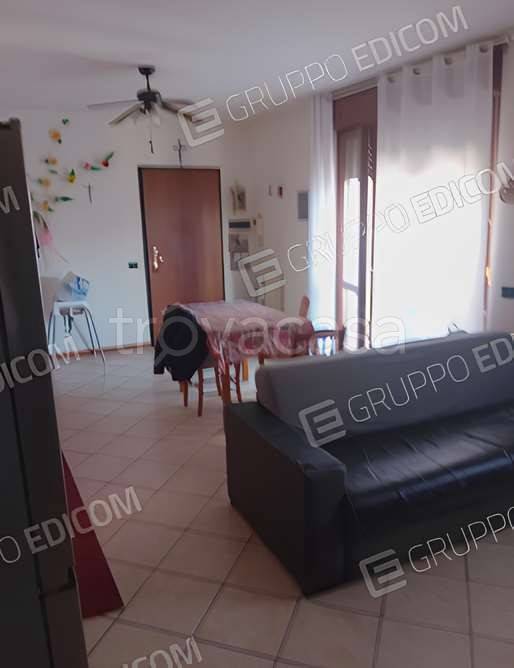 immagine annuncio 3 di 7